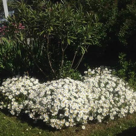 Aiguemarine * La Baule-Escoublac