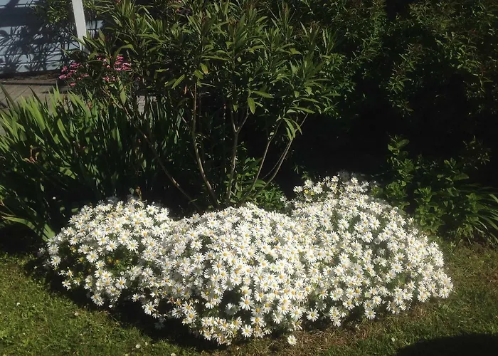 Aiguemarine * La Baule